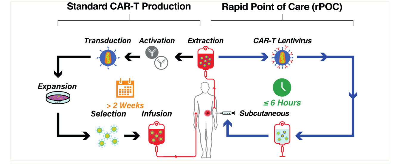 Rapid point-of-care subcutaneous CAR-T from blood draw to injection in 4 hours with modified LV encoding CARs and synthetic driver elements enables efficient CAR-T expansion and tumor regression Featured Image