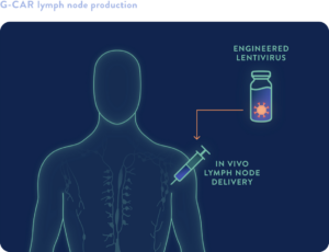 in vivo lymph node delivery