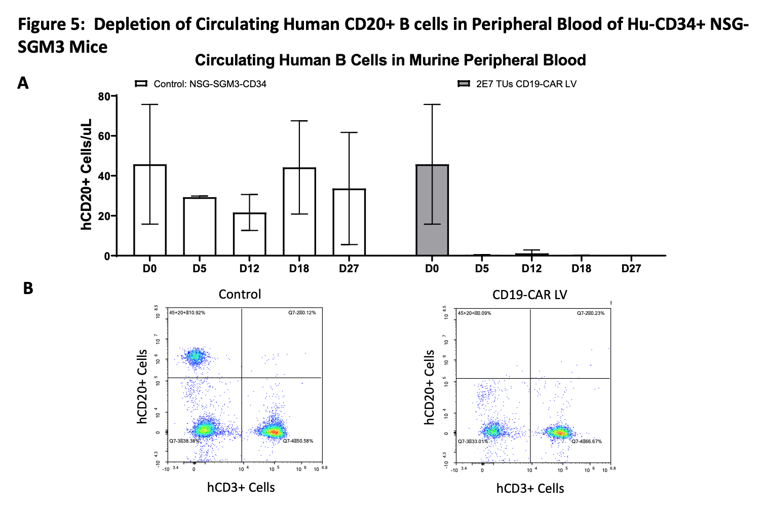 In vivo delivery of a novel CD3-targeted Lentiviral Vector generates CD19 CAR-T cells in two different humanized mouse models and results in complete B cell depletion Featured Image